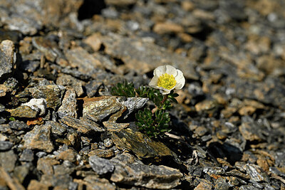BUITEN BEELD Foto: 445897