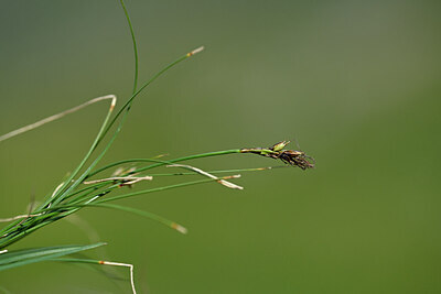 BUITEN BEELD Foto: 445901
