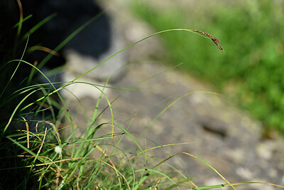 BUITEN BEELD Foto: 445917