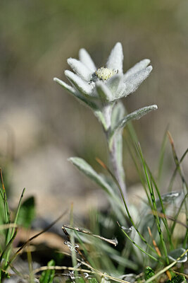 BUITEN BEELD Foto: 445925