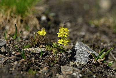 BUITEN BEELD Foto: 445938