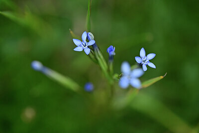 BUITEN BEELD Foto: 445939