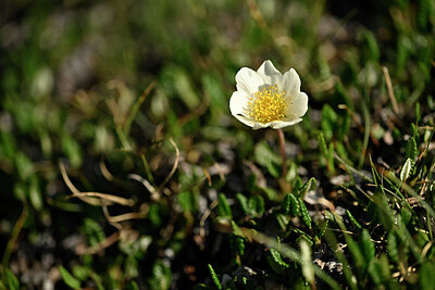 BUITEN BEELD Foto: 445940