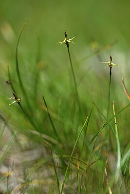 BUITEN BEELD Foto: 445949