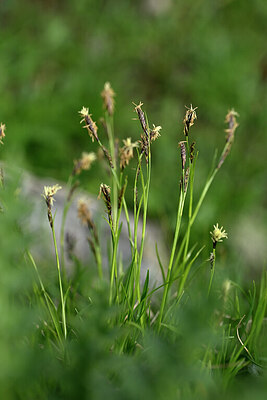 BUITEN BEELD Foto: 445965