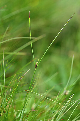 BUITEN BEELD Foto: 445977