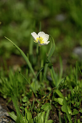 BUITEN BEELD Foto: 445987