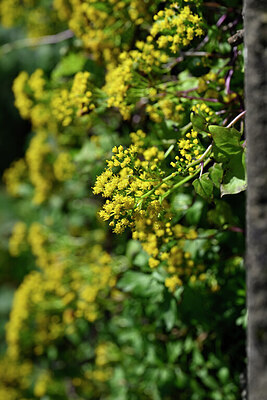 BUITEN BEELD Foto: 445991