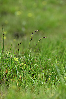 BUITEN BEELD Foto: 445994