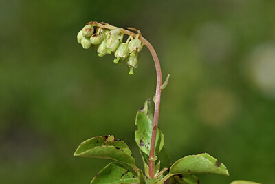BUITEN BEELD Foto: 446005