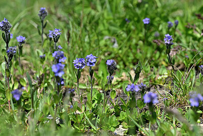 BUITEN BEELD Foto: 446007