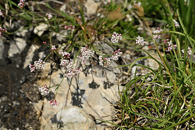 BUITEN BEELD Foto: 446008