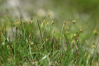 BUITEN BEELD Foto: 446010