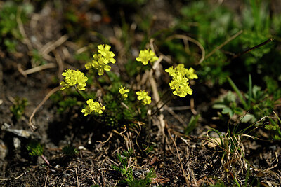 BUITEN BEELD Foto: 446017