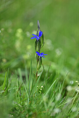 BUITEN BEELD Foto: 446019