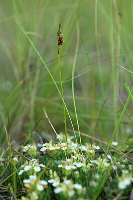BUITEN BEELD Foto: 446022