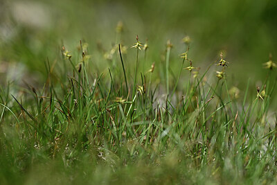 BUITEN BEELD Foto: 446028
