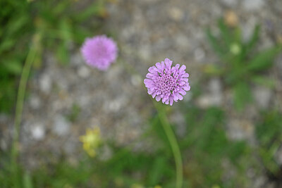 BUITEN BEELD Foto: 446033