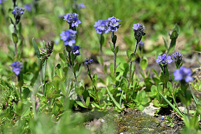 BUITEN BEELD Foto: 446038