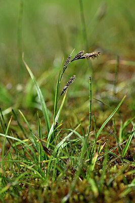 BUITEN BEELD Foto: 446049