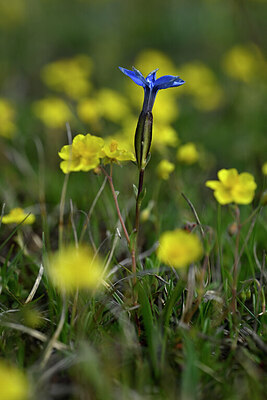 BUITEN BEELD Foto: 446050