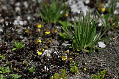 BUITEN BEELD Foto: 446065