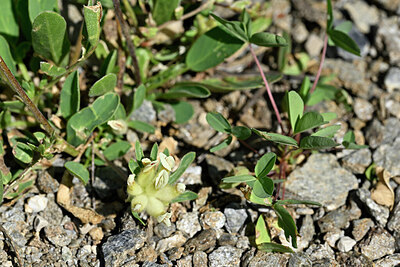 BUITEN BEELD Foto: 446074