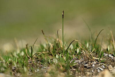 BUITEN BEELD Foto: 446084