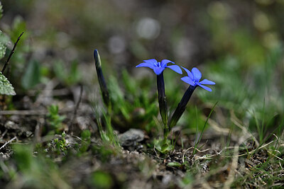 BUITEN BEELD Foto: 446094