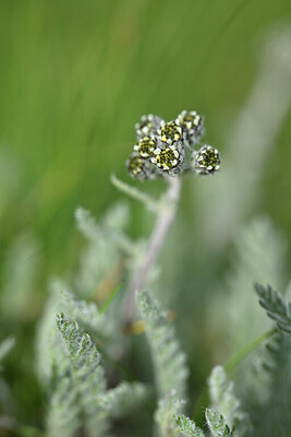 BUITEN BEELD Foto: 446096