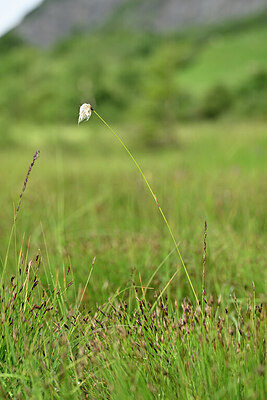BUITEN BEELD Foto: 446098