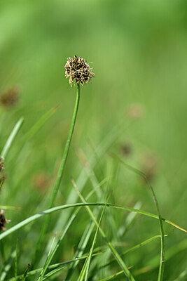 BUITEN BEELD Foto: 446104
