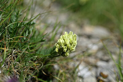 BUITEN BEELD Foto: 446124