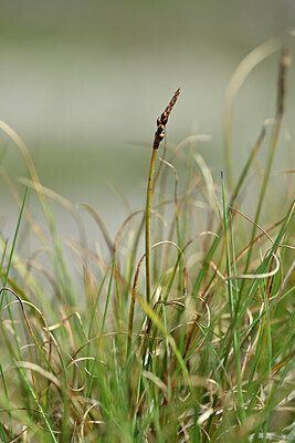 BUITEN BEELD Foto: 446130
