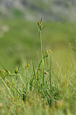 BUITEN BEELD Foto: 446131