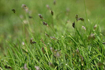 BUITEN BEELD Foto: 446133