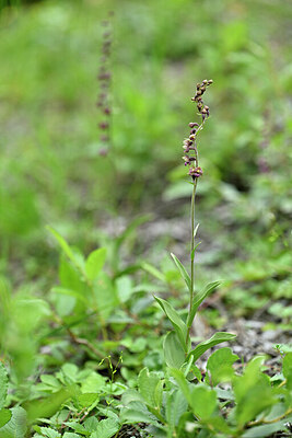 BUITEN BEELD Foto: 446155