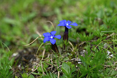 BUITEN BEELD Foto: 446162