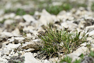 BUITEN BEELD Foto: 446177