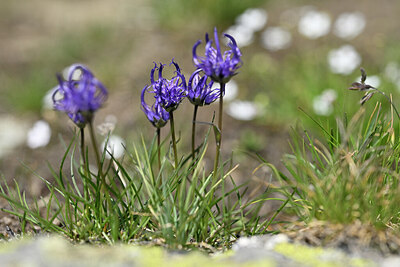 BUITEN BEELD Foto: 446184