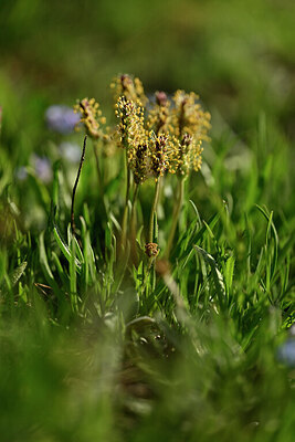 BUITEN BEELD Foto: 446190
