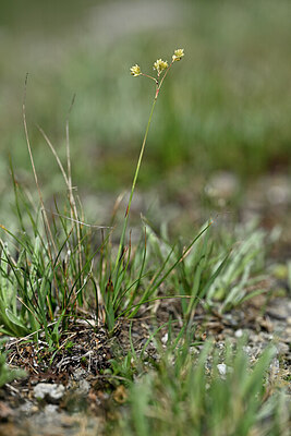 BUITEN BEELD Foto: 446194