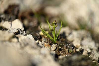 BUITEN BEELD Foto: 446197