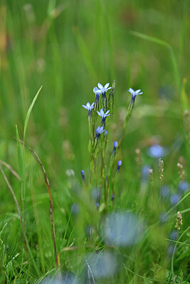 BUITEN BEELD Foto: 446203