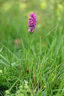 BUITEN BEELD Foto: 446204