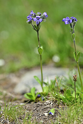 BUITEN BEELD Foto: 446212