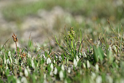 BUITEN BEELD Foto: 446214