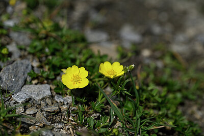 BUITEN BEELD Foto: 446216