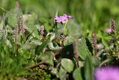 BUITEN BEELD Foto: 446221