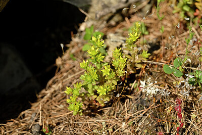 BUITEN BEELD Foto: 446227